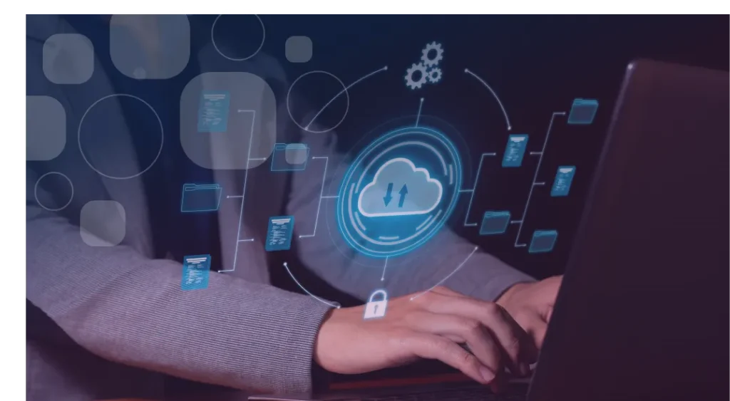 custom database development, bespoke database software and web-based data